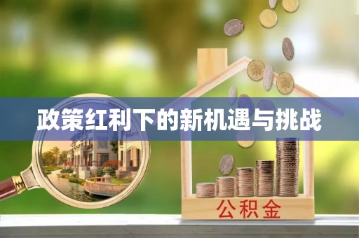 北关政策红利下的新机遇与挑战