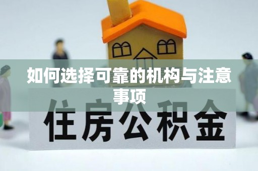 北关如何选择可靠的机构与注意事项