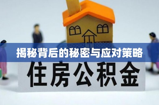 北关揭秘背后的秘密与应对策略