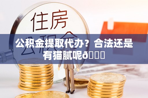 北关公积金提取代办？合法还是有猫腻呢😏