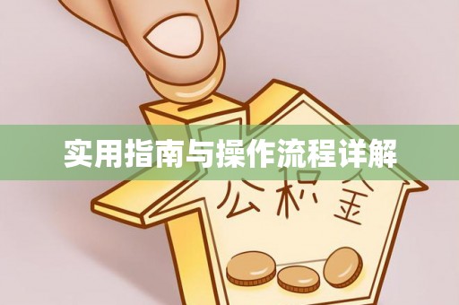 北关实用指南与操作流程详解
