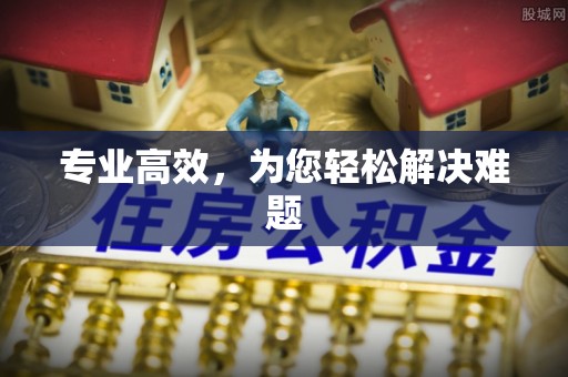北关专业高效，为您轻松解决难题