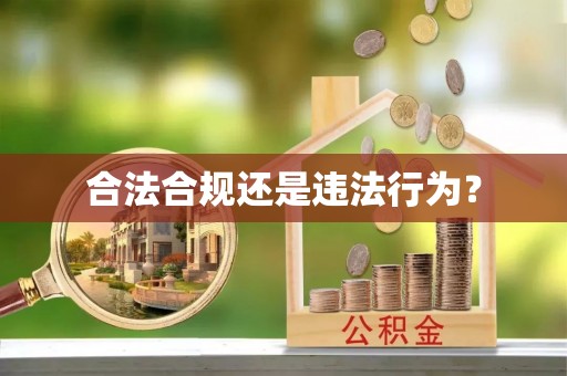 北关合法合规还是违法行为？