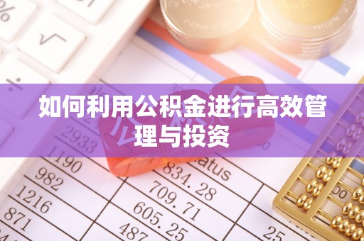 北关如何利用公积金进行高效管理与投资