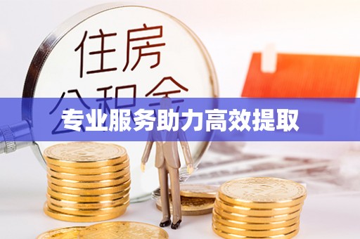 北关专业服务助力高效提取